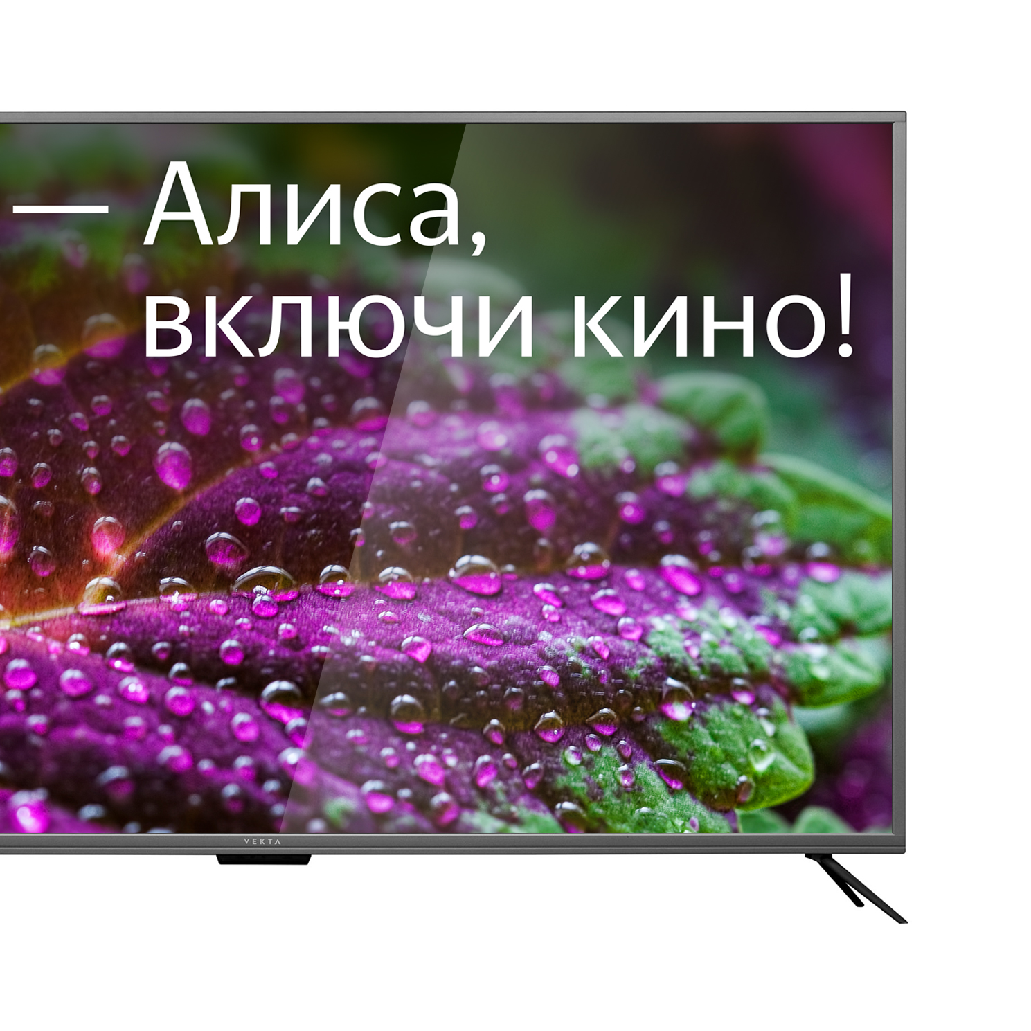 Vekta Телевизор UHD 65" LD-65SU8815BS 
